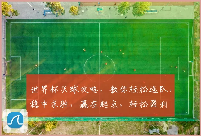 世界杯买球攻略，教你轻松选队，稳中求胜，赢在起点，轻松盈利