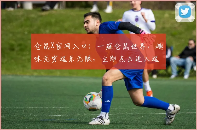 仓鼠X官网入口：一窥仓鼠世界，趣味无穷逗乐无限，立即点击进入逗逗乐