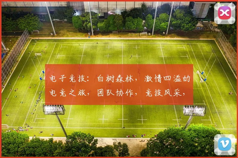 电子竞技：白树森林，激情四溢的电竞之旅，团队协作，竞技风采，一触即发