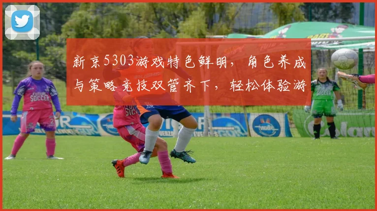 新京5303游戏特色鲜明，角色养成与策略竞技双管齐下，轻松体验游戏乐趣